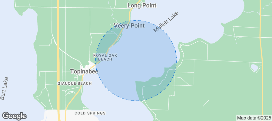 Discover Mullett Township Airbnb Analytics